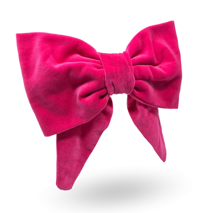 Lara Large Bow Clip